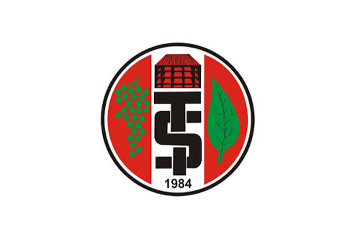 Turgutluspor Kurumsal Logosu - Spor Endüstrisi Referanslarımız - RC Ajans